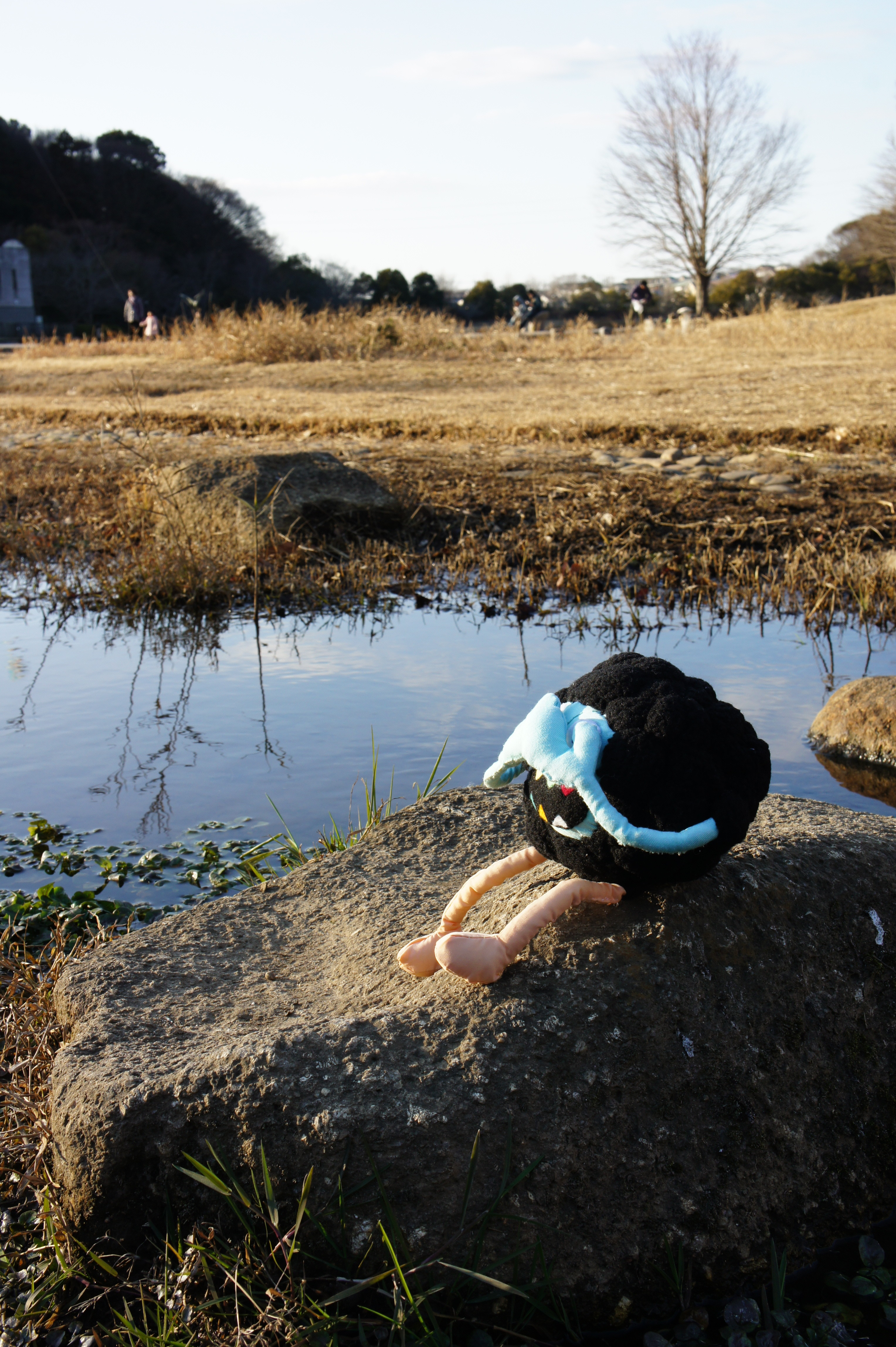 SONY DSC