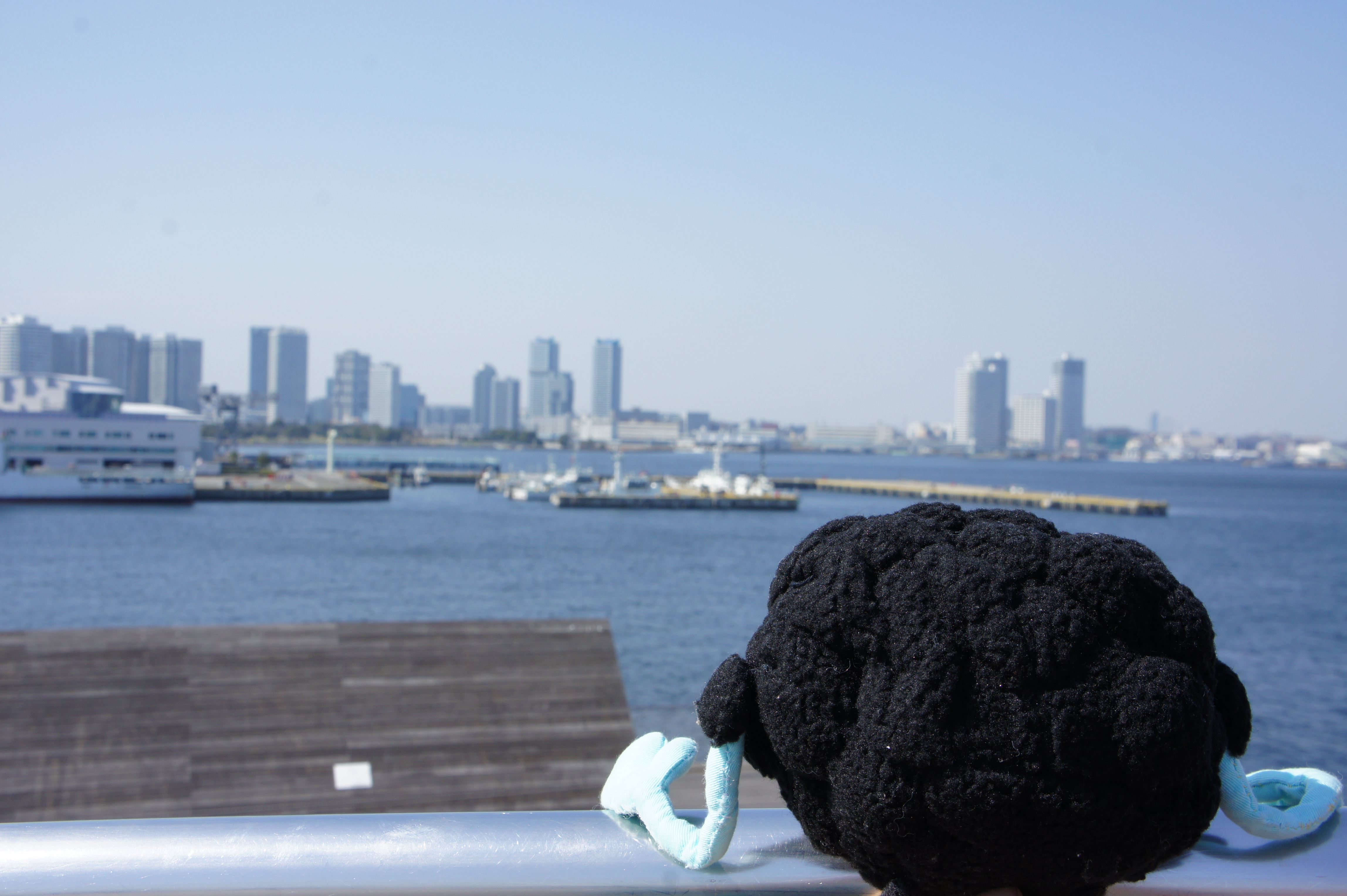 SONY DSC